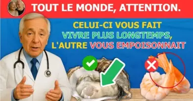 Plus de 60 ans ? 4 fruits de mer parmi les pires à ne JAMAIS toucher et 4 à manger absolument