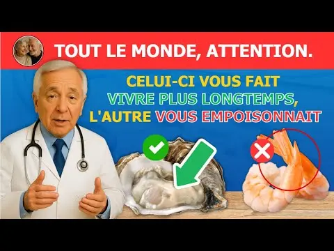 Plus de 60 ans ? 4 fruits de mer parmi les pires à ne JAMAIS toucher et 4 à manger absolument