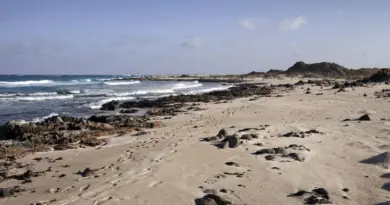 Plus de 90 morts dans un naufrage de migrants au large du Yemen