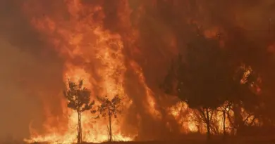Plus d’un million d’hectares ont brûlé dans l’UE depuis le début de l’année à cause des incendies, un record