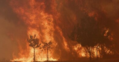 Plus d’un million d’hectares ont brûlé dans l’UE depuis le début de l’année à cause des incendies, un record