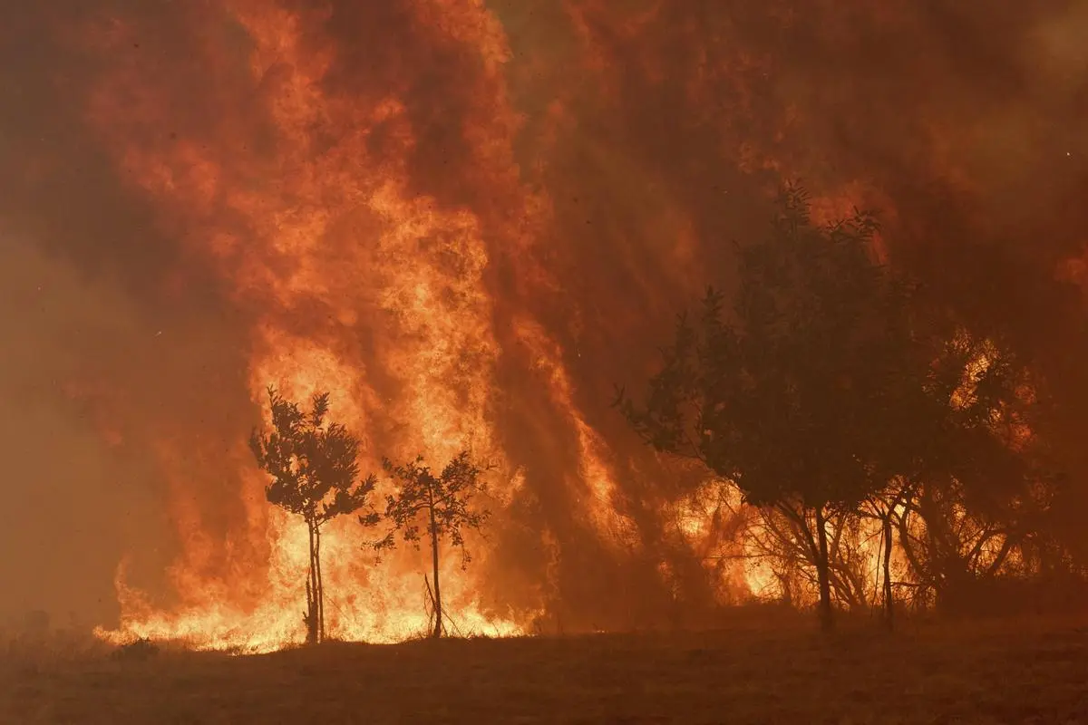 Plus d’un million d’hectares ont brûlé dans l’UE depuis le début de l’année à cause des incendies, un record