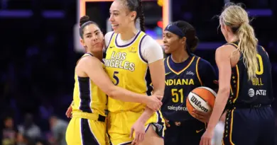 Plusieurs matchs de la ligue féminine de basket américaine interrompus par des jets de… sextoys