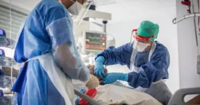 Pneumocystose : les corticoïdes améliorent aussi les patients immunodéprimés non VIH