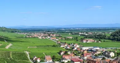 Grand Est, Strasbourg, Reims, vineyard, Alsace, Vosges, forest, cathedral, village