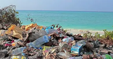 Pollution plastique : les négociations butent, mais les États restent à la table
