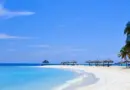 Polynésie française, Tahiti, Bora Bora, lagoon, beach, palm, coral, overwater, island