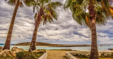 Polynésie française, Tahiti, Bora Bora, lagoon, beach, palm, coral, overwater, island