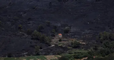 Portugal | Un incendie de forêt a ravagé une surface record de 64 000 hectares