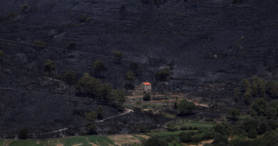 Portugal | Un incendie de forêt a ravagé une surface record de 64 000 hectares
