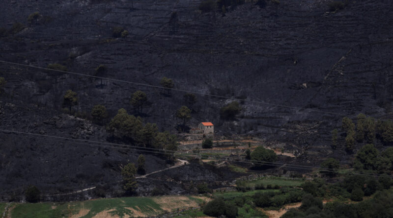 Portugal | Un incendie de forêt a ravagé une surface record de 64 000 hectares