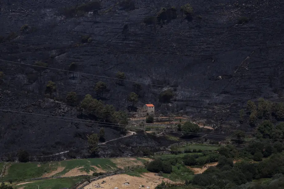 Portugal | Un incendie de forêt a ravagé une surface record de 64 000 hectares