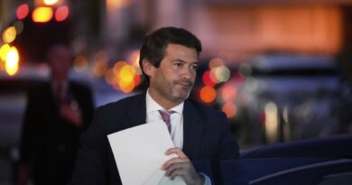 Portugal : l’extrême droite cible les pyromanes, qu’elle veut juger comme des terroristes