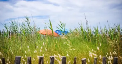 Pour des vacances sereines, les applis de l’été ! | Ministères Aménagement du territoire Transition écologique