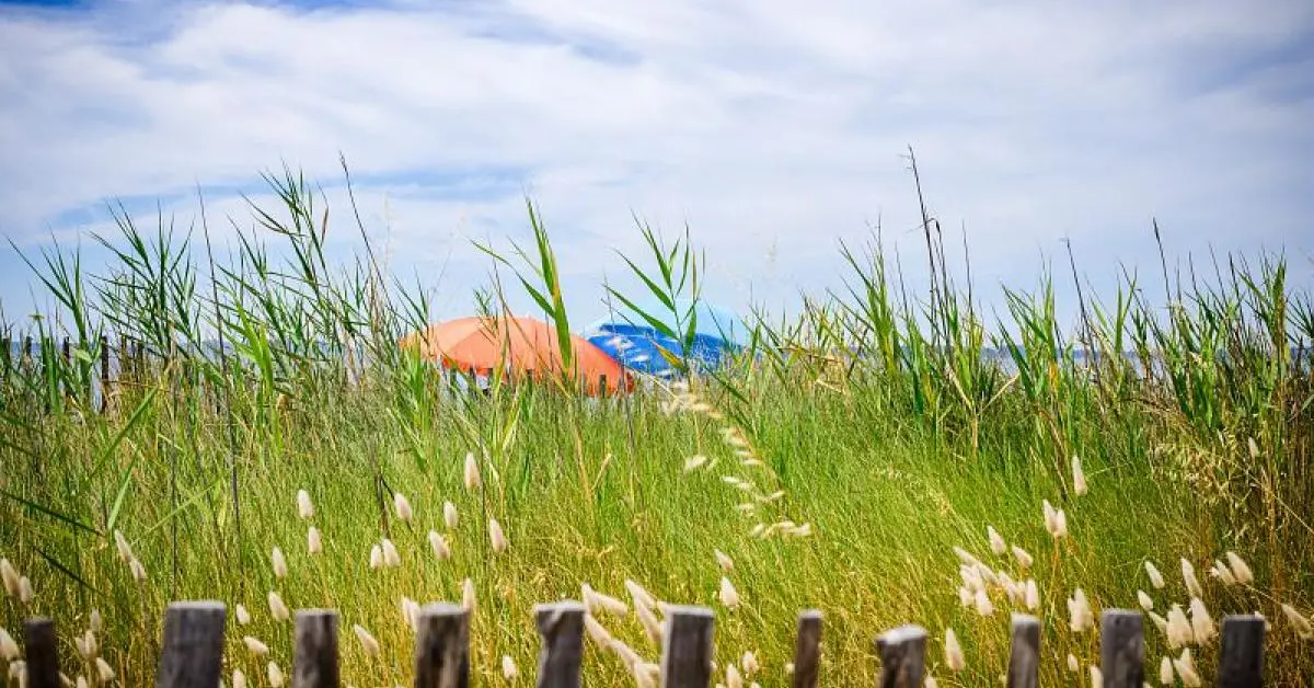 Pour des vacances sereines, les applis de l’été ! | Ministères Aménagement du territoire Transition écologique