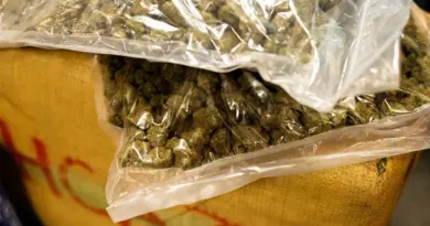 "Pour une soirée avec des amis" : à 21 ans, il est condamné à 8 mois de prison pour acquisition de drogues