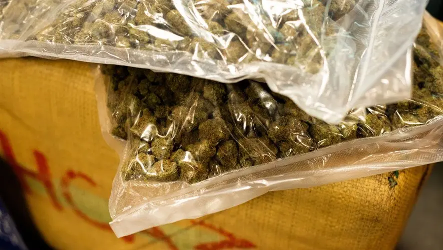"Pour une soirée avec des amis" : à 21 ans, il est condamné à 8 mois de prison pour acquisition de drogues