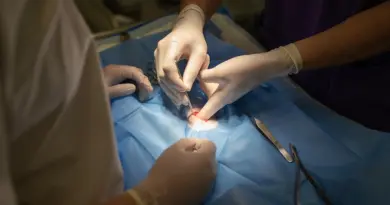 health, healthcare, medicine, medical, doctor, hospital, nurse, patient