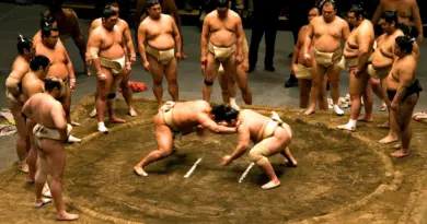 Pourquoi les Japonaises raffolent du sumo