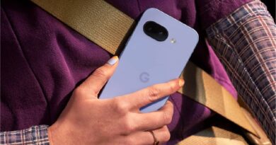 Iris Google Pixel 9a held in someone