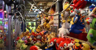 Pourquoi les attrape-peluches de fête foraine nous rendent aussi gagas