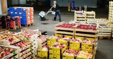 Pratiques commerciales déloyales : la Commission prépare un renforcement des règles pour le secteur agricole en 2026 - Euractiv FR