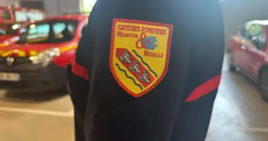 Près de Nancy : ivre dans un laboratoire médical, une femme de 25 ans insulte et frappe des pompiers