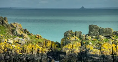 Normandie, Caen, Rouen, Mont-Saint-Michel, cliff, beach, cow, landscape, D-Day
