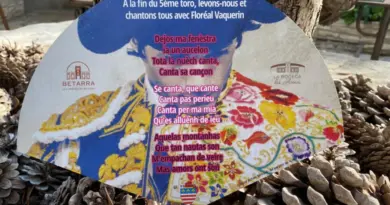 "Presque personne ne connaît les paroles" : à la Feria de Béziers, une idée originale derrière 30 000 éventails