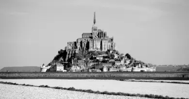 Normandie, Caen, Rouen, Mont-Saint-Michel, cliff, beach, cow, landscape, D-Day