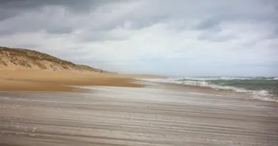 Nouvelle-Aquitaine, Bordeaux, Biarritz, dune, ocean, vineyard, forest, landscape