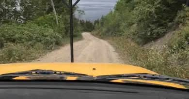Protection du caribou : moins de chemins forestiers fermés que prévu