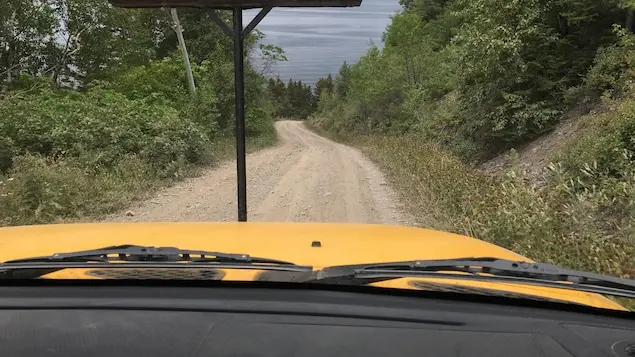 Protection du caribou : moins de chemins forestiers fermés que prévu