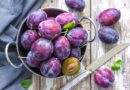 Prunes : le guide malin pour prolonger leur saveur