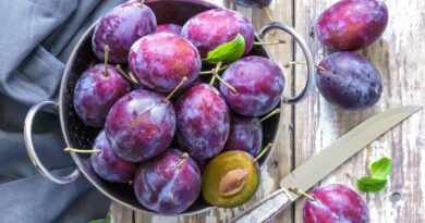 Prunes : le guide malin pour prolonger leur saveur
