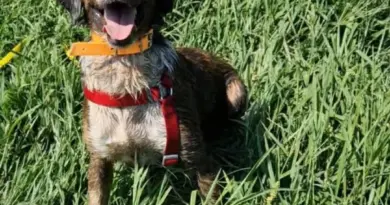 Pumba ❤️