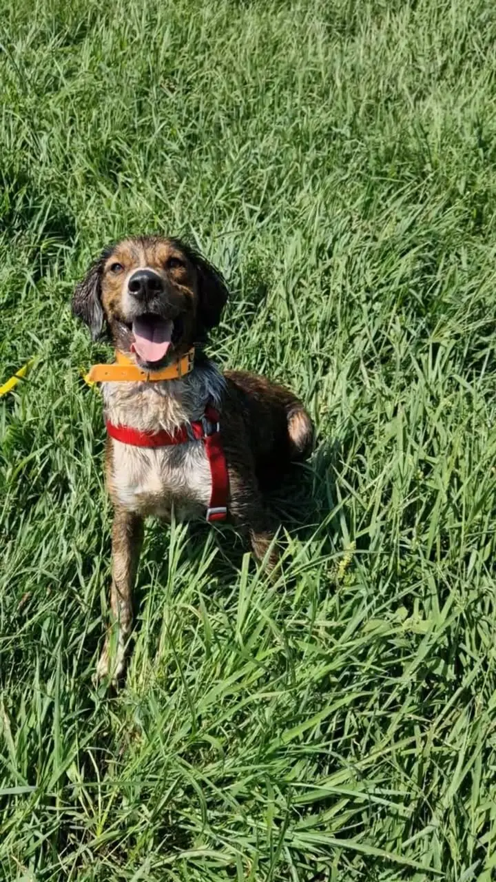 Pumba ❤️