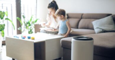 Purificateurs d’air : la plupart des tests sont insuffisants pour évaluer leur efficacité ou leur  innocuité