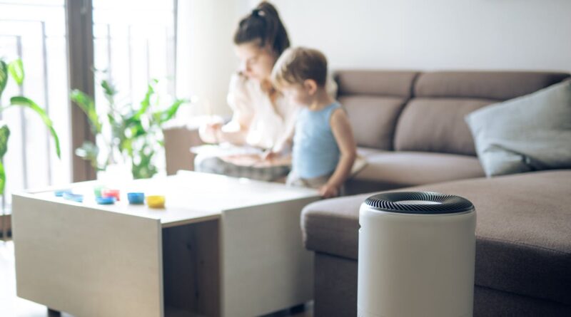 Purificateurs d’air : la plupart des tests sont insuffisants pour évaluer leur efficacité ou leur  innocuité