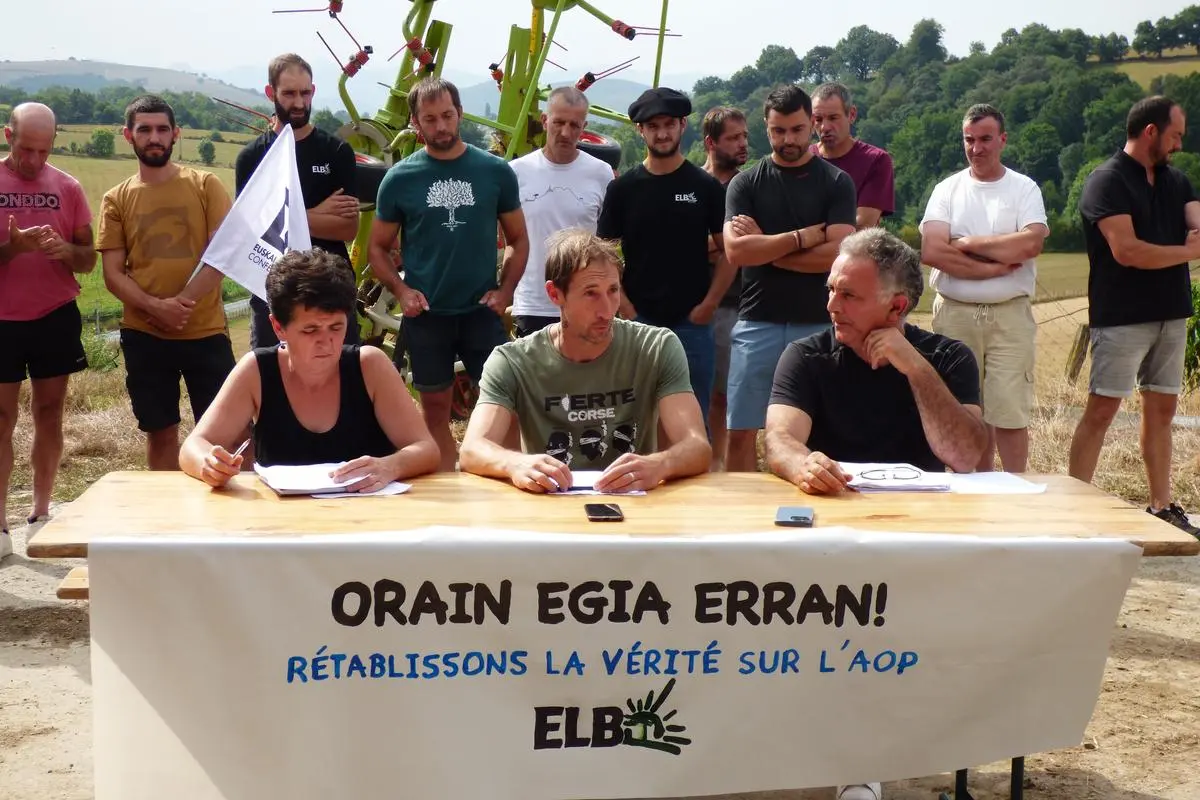 Pyrénées-Atlantiques : pour le syndicat ELB, l’AOP Ossau-Iraty ne doit pas changer
