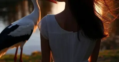 Quand Benkirane compare les femmes à des cigognes