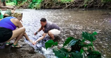 Quand l’animation touristique fait du tort à l’anguille “sacrée” de Moorea