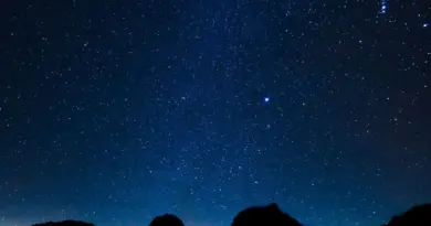 Quand les Perséides nous illuminent : une pluie d'étoiles filantes a lieu dans notre ciel, comment les apercevoir ?