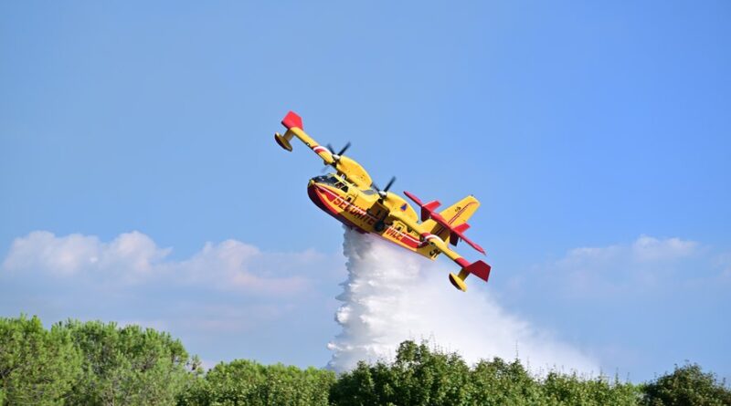 Quatre massifs de l’Hérault en alerte orange : accès restreints et travaux limités face au risque élevé d’incendie, ce samedi 30 août