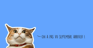 Agenda des sorties week-end à Lyon