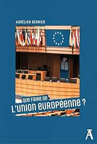Que faire de l'Union européenne ?
