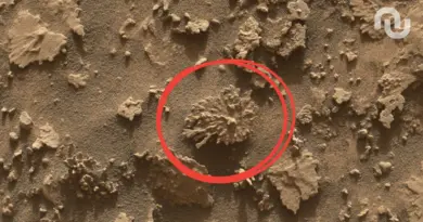 Que fait cette roche en forme de corail sur Mars ?