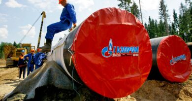 Quel est l'état actuel des échanges commerciaux UE - Russie ?
