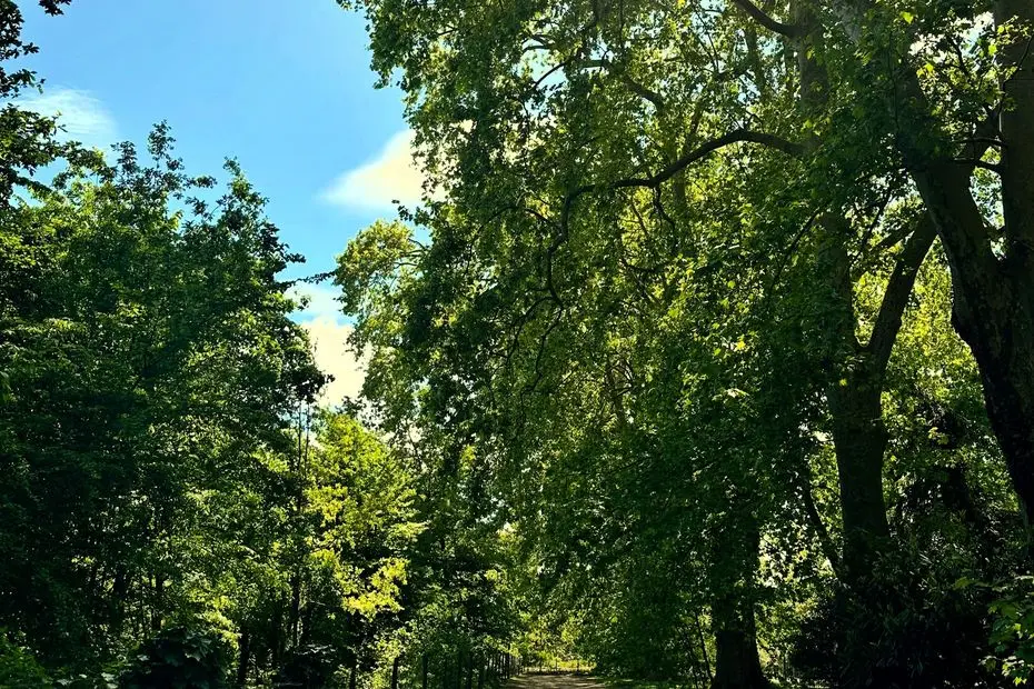 Quel temps ce jeudi 21 août en Nouvelle-Aquitaine