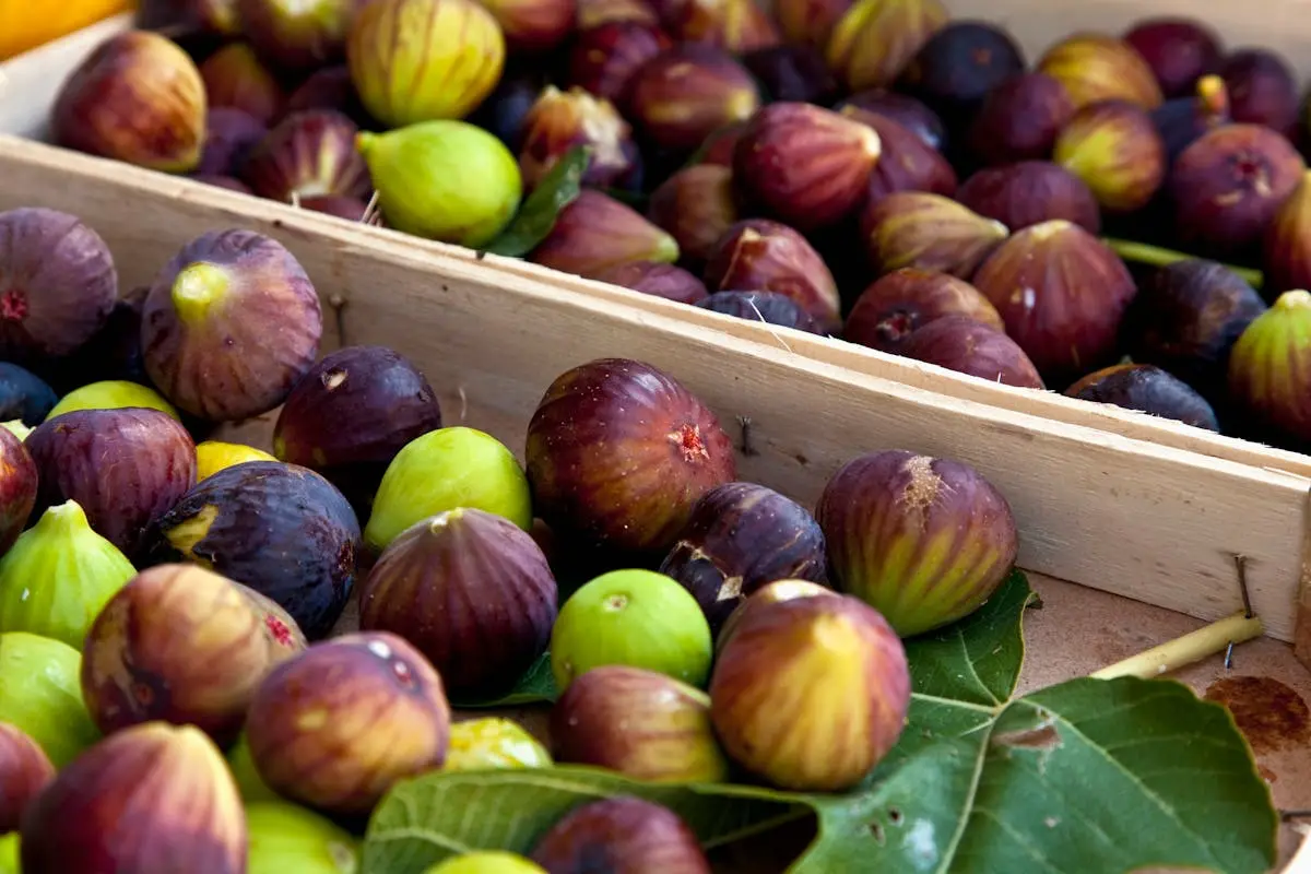 Quelle est la meilleure façon de conserver les figues ?